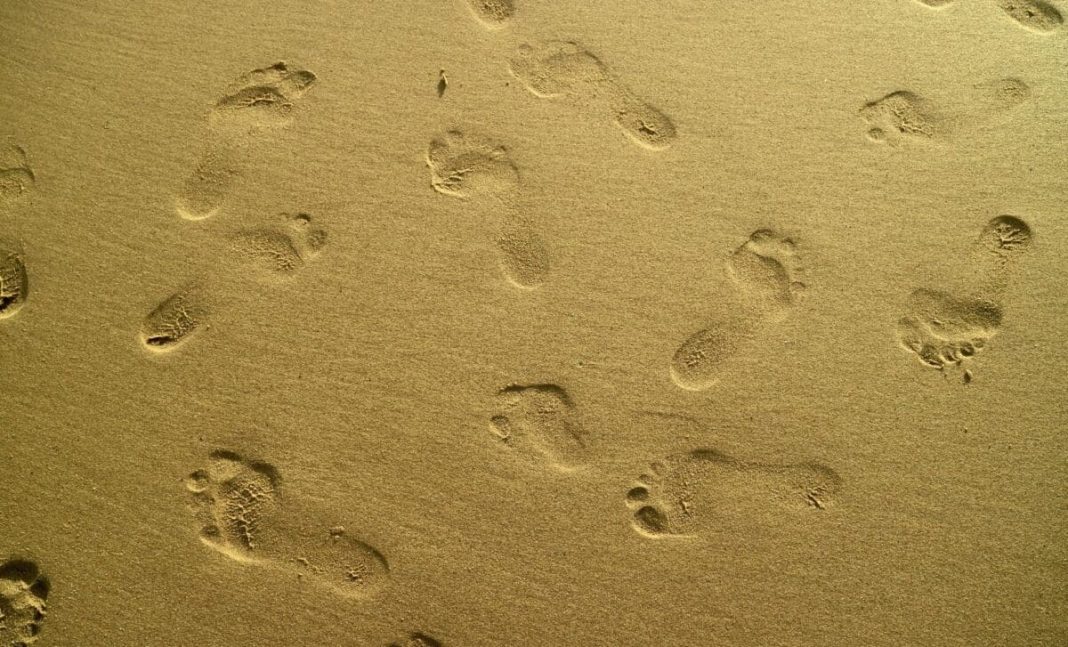 Scientists find 29 strangely arranged human footprints on remote Canadian island Scientists find 29 strangely arranged human footprints on remote Canadian island