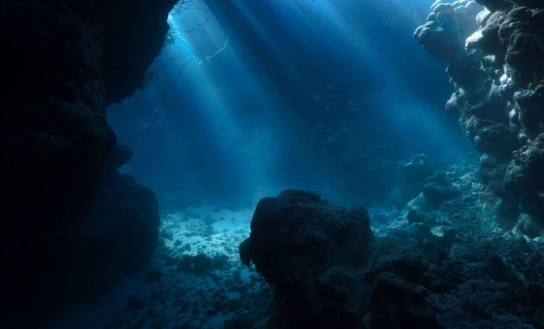 Deep-Sea Shocker: Argentina's 'Barren' Seafloor Teems with 28 New Species