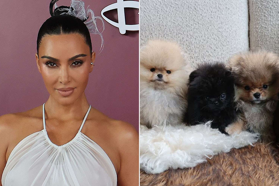 Kim Kardashian just shared photos of the four puppies her kids got for Christmas, weeks after PETA gave her grief.