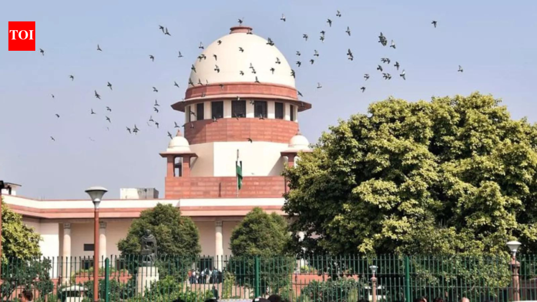 'Unsustainable in law': SC rules OBC creamy layer status cannot be decided on income alone