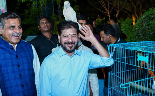 CM Revanth Reddy plans night-tourism along Hyderabad's Musi river