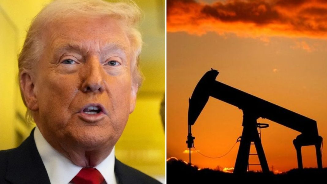 Trump reviewing options to bring soaring oil prices under control: Report