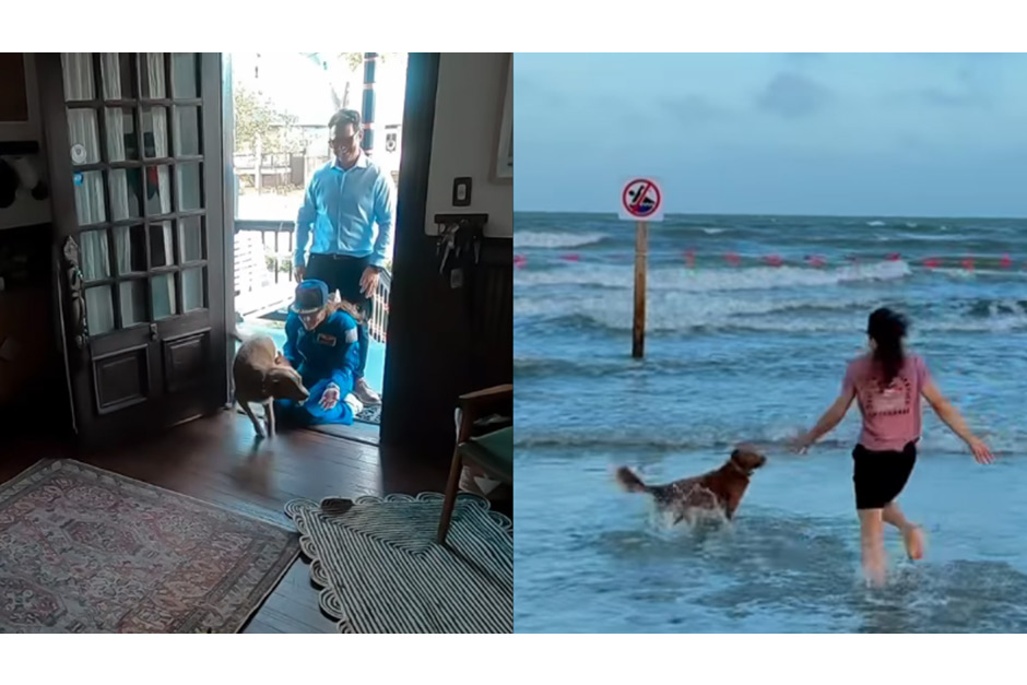 Watch: Artemis II astronaut Christina Koch shares emotional video of reuniting with dog Sadie Watch: Artemis II astronaut Christina Koch shares emotional video of reuniting with dog Sadie