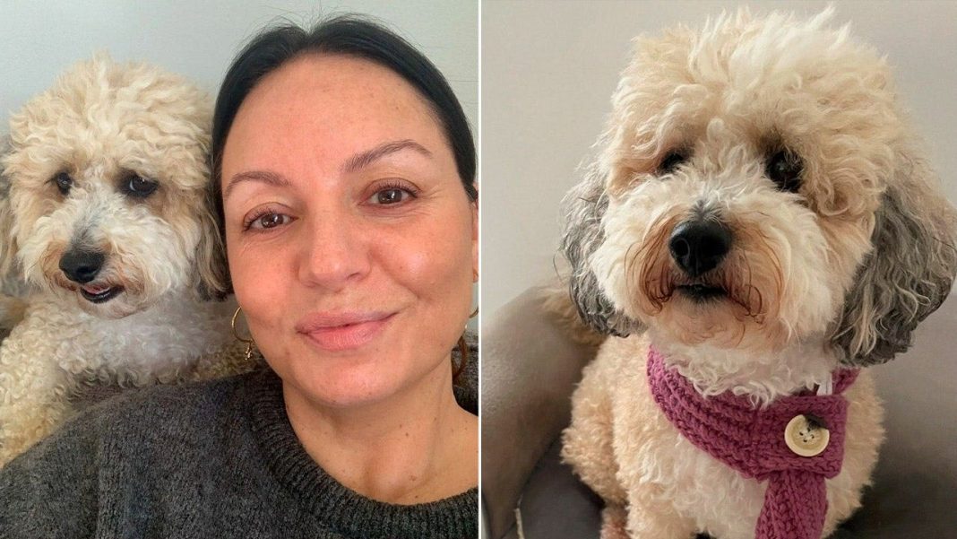 As if fighting cancer wasn't hard enough, this woman's dog was diagnosed with the exact same disease.