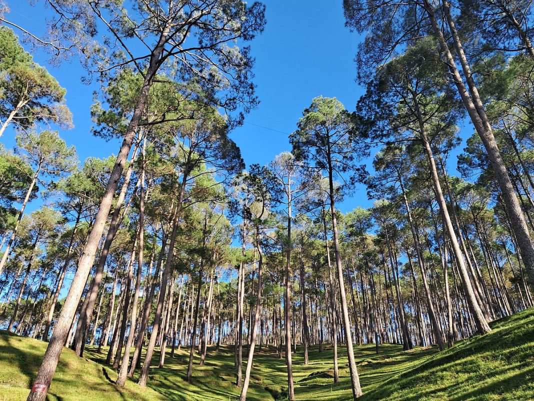 How Hidden Undercurrents Are Reshaping Long-Term Dynamics