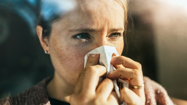 Hay Fever: 9 Tips for Dealing with Pollen and Allergies