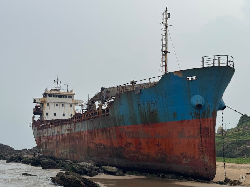 ‘21 Indian crew on Panama-flagged ship attacked in Hormuz strait safe’: Govt