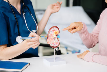 Kidney cases surge in Gujarat as transplants rise by 50% in 10 years