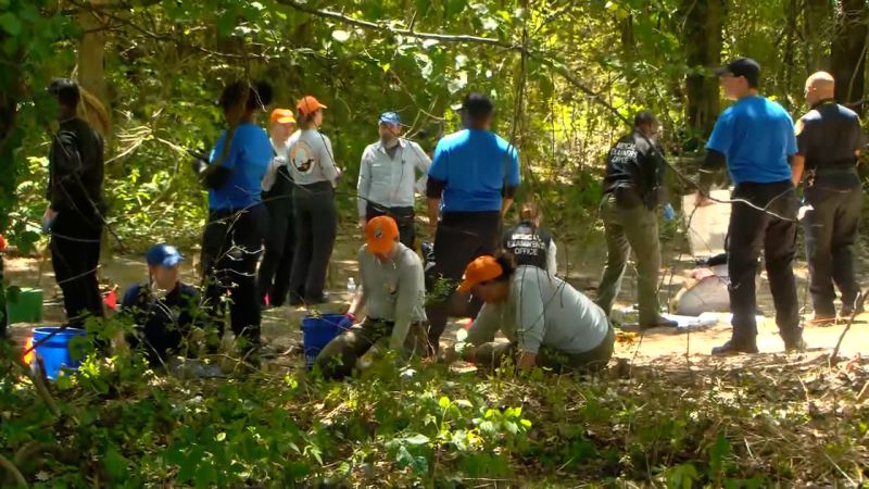 Police say the remains of three children found in Memphis woods could have been there for years.