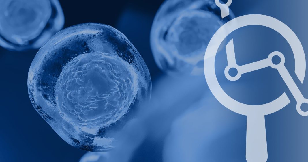 Polyendocrine Metabolic Ovarian Syndrome: New name to improve diagnosis and care of condition affecting 170 million women worldwide - Endocrine Society