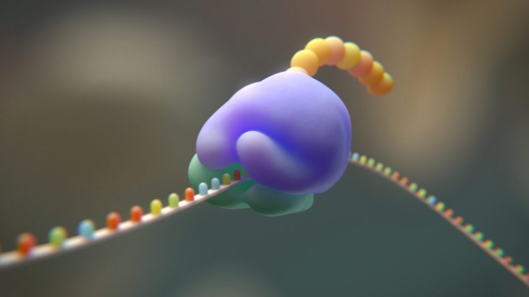 Scientists Challenge Life's Blueprint: Aiming for 19 Amino Acids