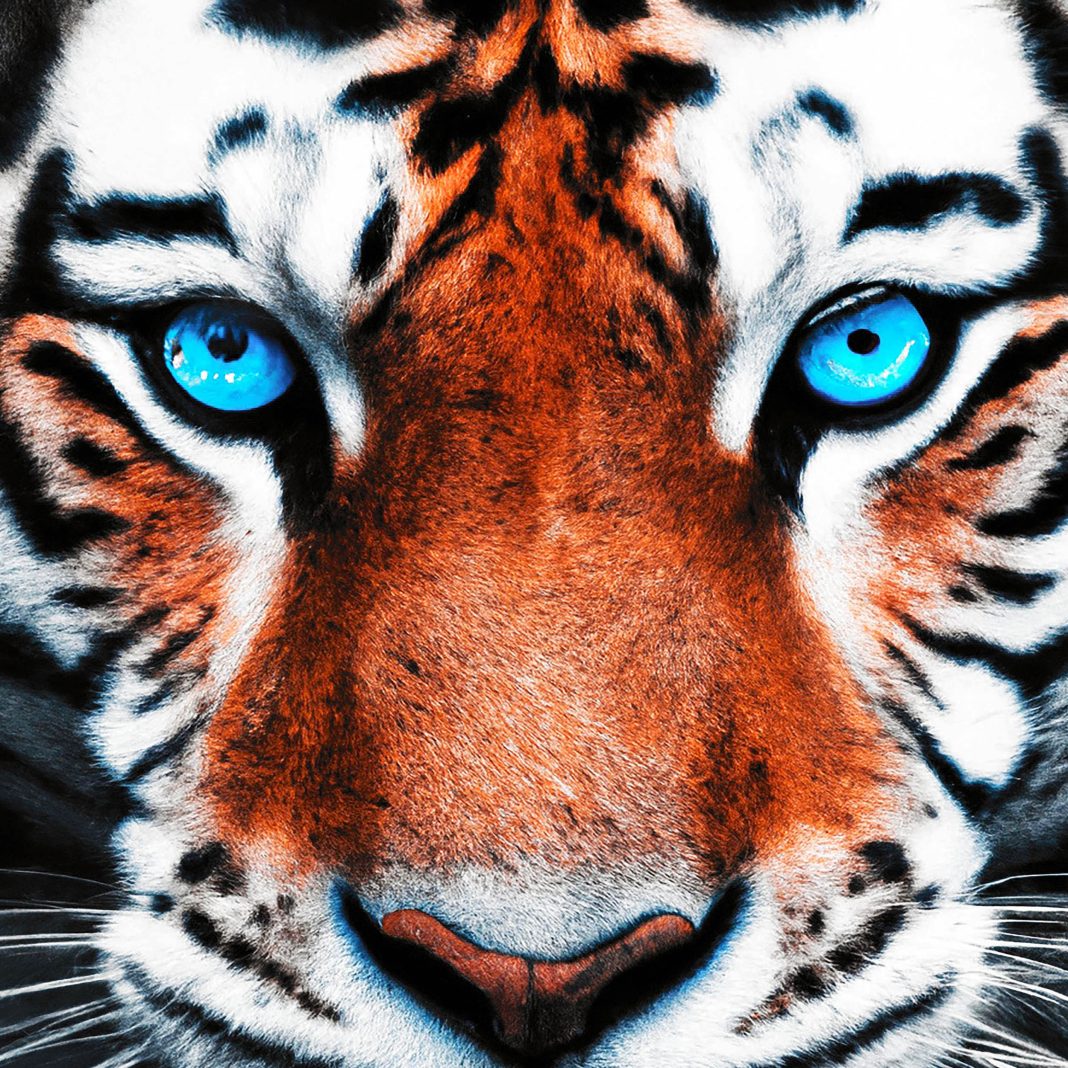 See the world through animal eyes: This camera reveals incredible colors you've never imagined.