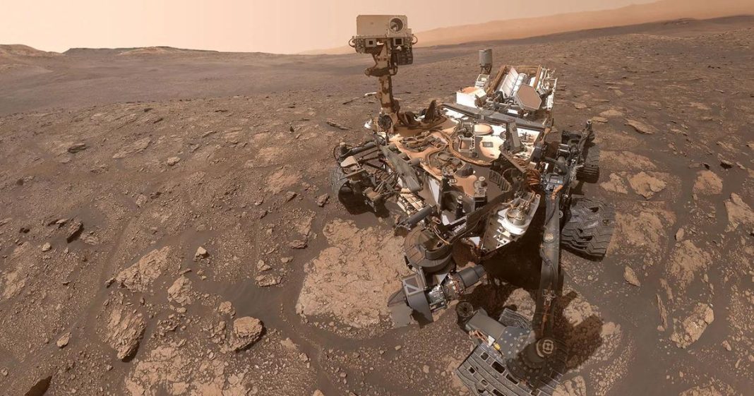 Space Fungi Discovery Raises Concerns for Astronaut Health