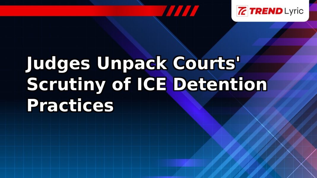 Judges Unpack Courts' Scrutiny of ICE Detention Practices Judges Unpack Courts' Scrutiny of ICE Detention Practices