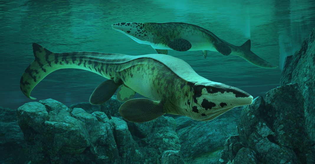 Massive Mosasaur, 'Sea T. Rex', Emerges from Texas Fossils Massive Mosasaur, 'Sea T. Rex', Emerges from Texas Fossils