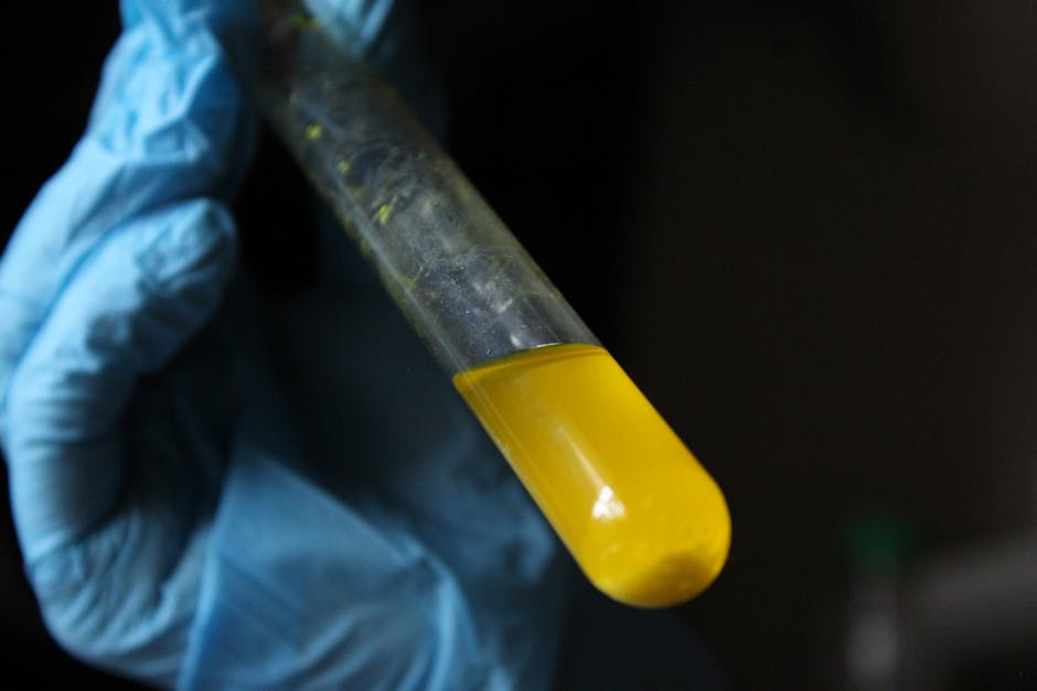 Americans potentially exposed to Ebola during Congo outbreak. Americans potentially exposed to Ebola during Congo outbreak.