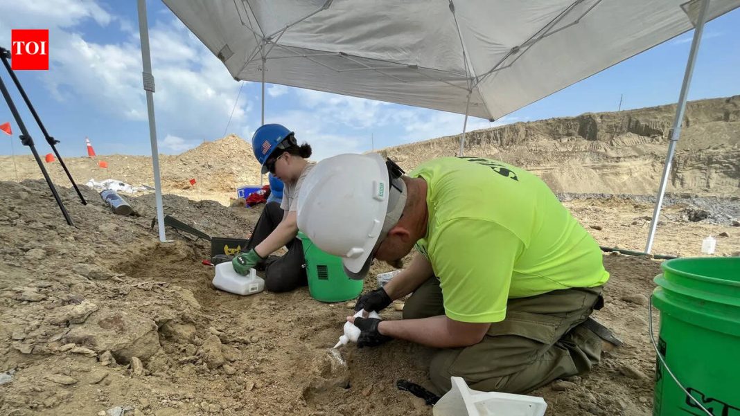 In 2023, North Dakota coal miners spotted a white curve in the debris and unearthed a rare giant from the Ice Age In 2023, North Dakota coal miners spotted a white curve in the debris and unearthed a rare giant from the Ice Age