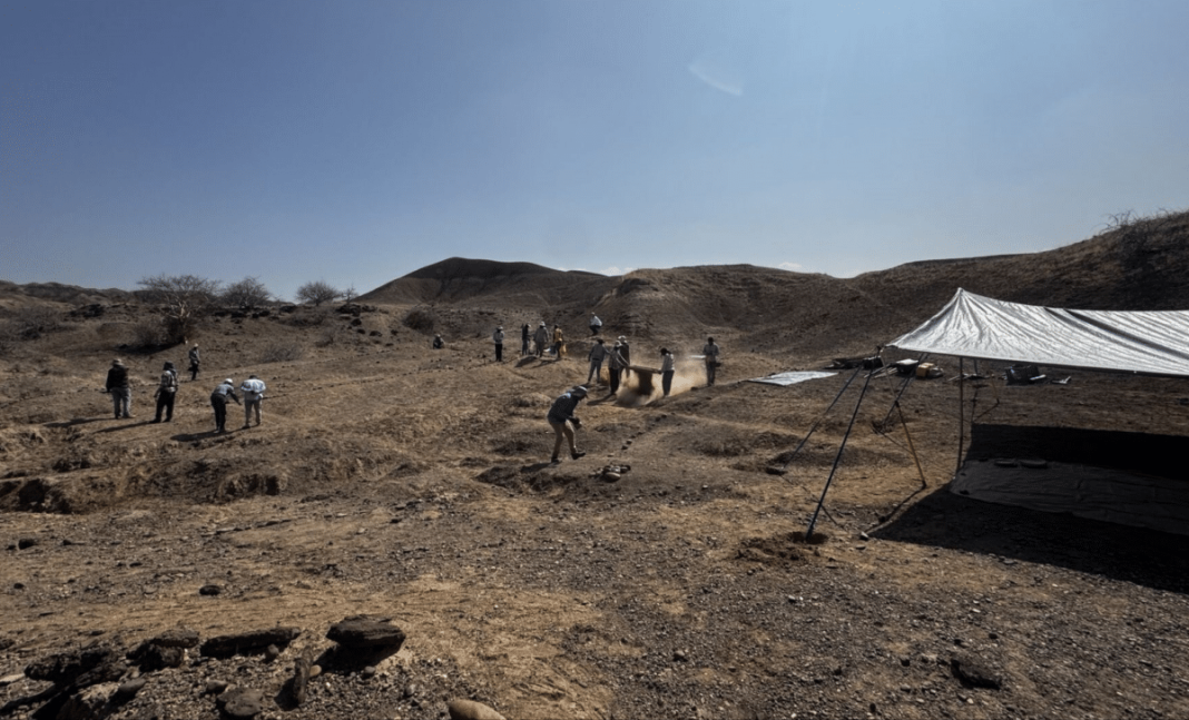 Scientists might have found the earliest human cremation, 100,000 years old. Scientists might have found the earliest human cremation, 100,000 years old.
