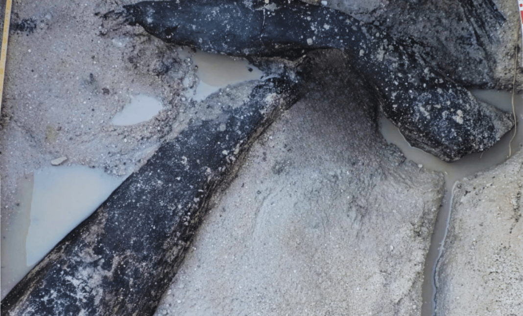 Scientists just found the world's oldest wooden structure, built by a species 200,000 years older than modern humans.