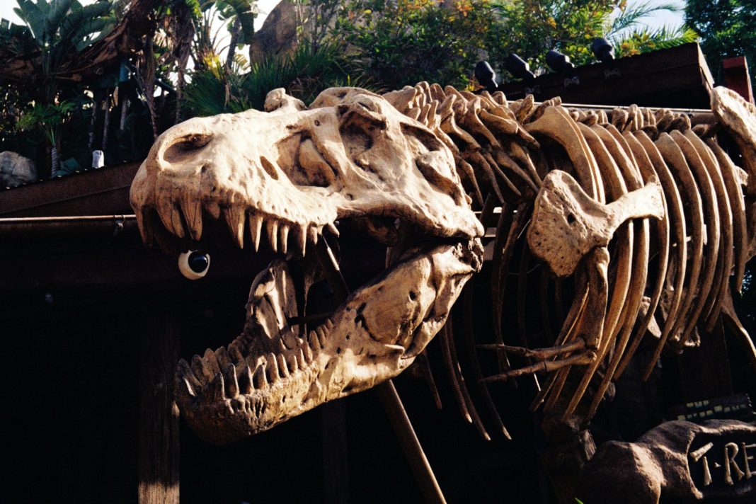 T. Rex's Tiny Arms: A Strategy to Avoid Injury During Feeding? T. Rex's Tiny Arms: A Strategy to Avoid Injury During Feeding?